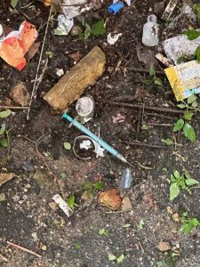 Litter scattered on soil with weeds and small debris