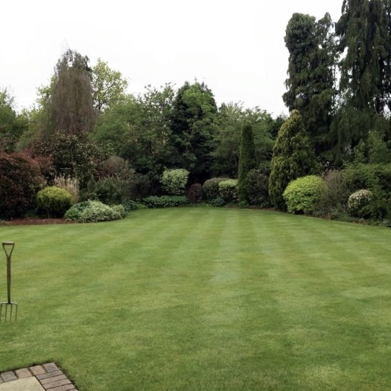 Neatly striped lawn and mature borders maintained by Mulberry FM