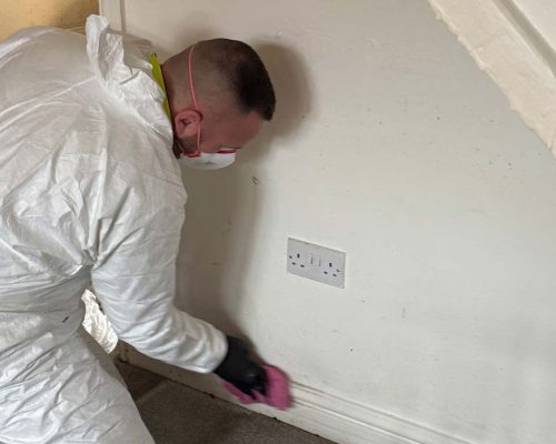 mulberry-facilities-maintenance16